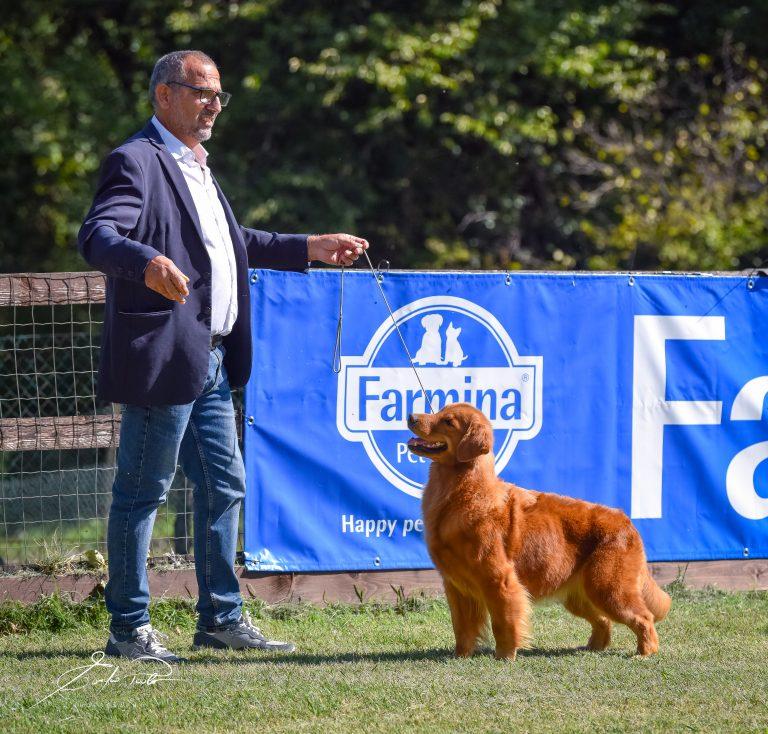 servizio fotografico senza titolo-2364