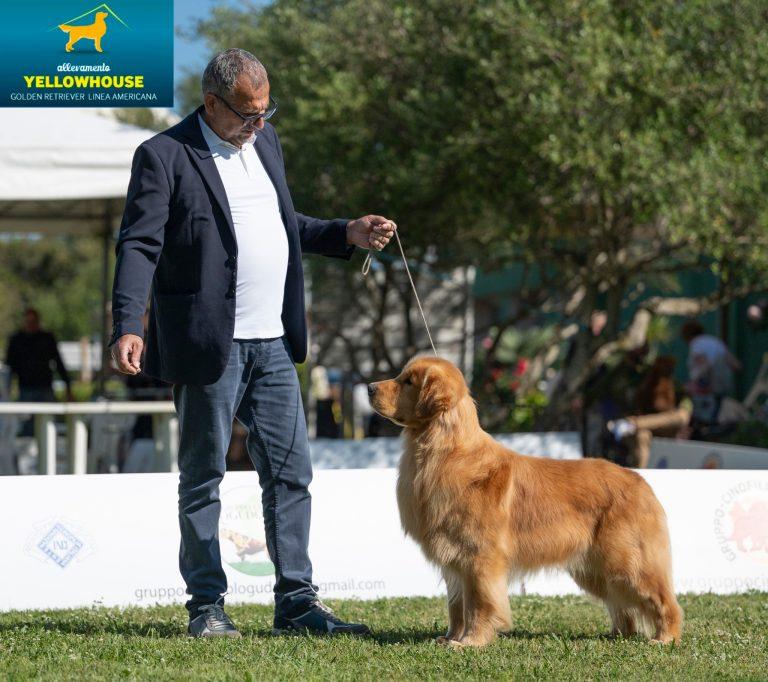 Willy Olbia 2025.3